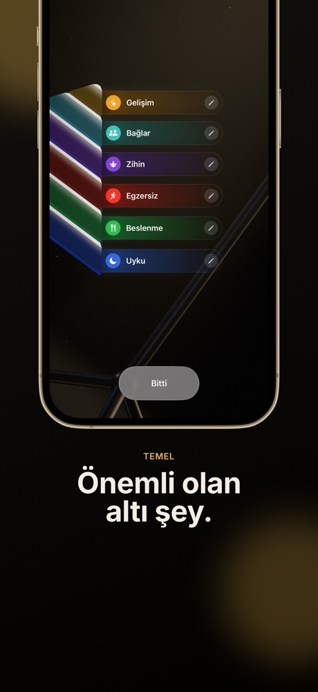 Önemli olan altı şey